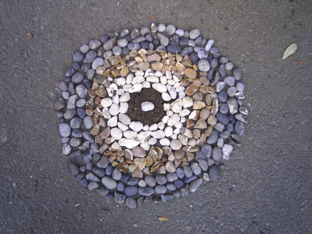 Art (Natural Sculpture) Cardfields