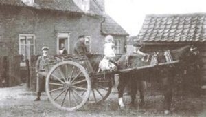 Cardfields horse and cart