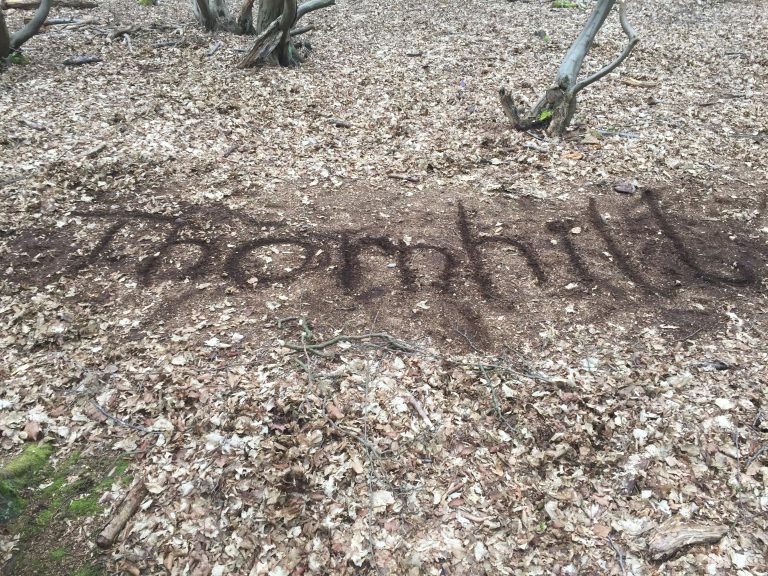 Thornhill written in ground