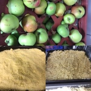 Collage of apples and apple crumble